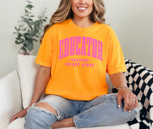 Educator Comfort Color