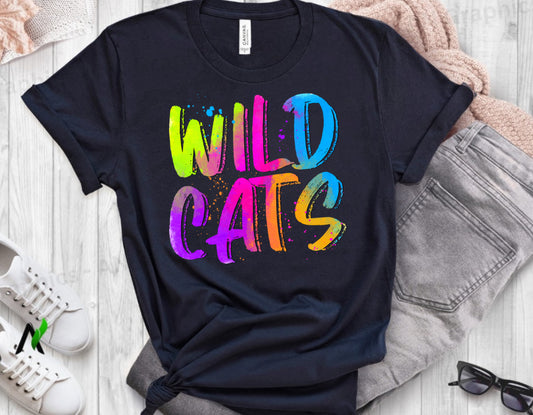 Wildcats Spray Paint