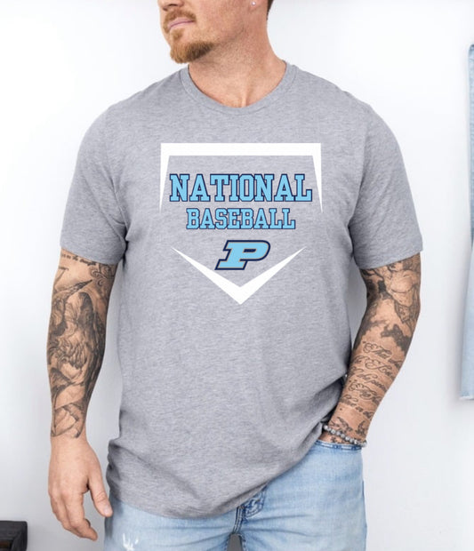National Baseball P