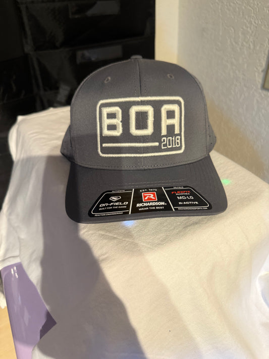 Gray/White BOA Richardson On Field