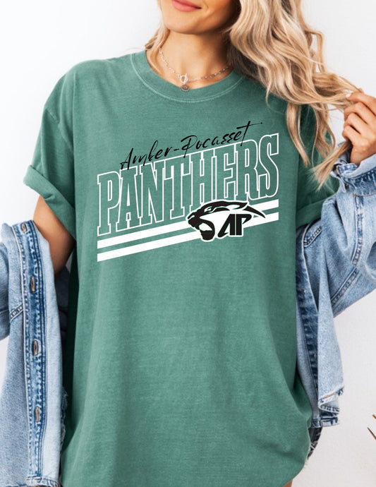 Amber-Pocasset Panthers