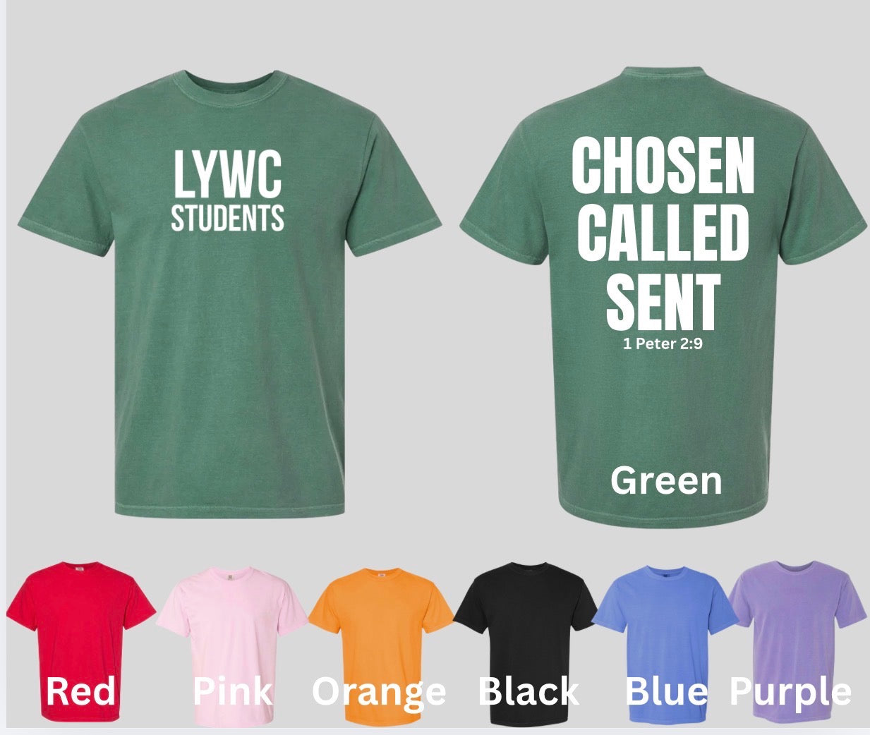 LYWC Students Comfort Color